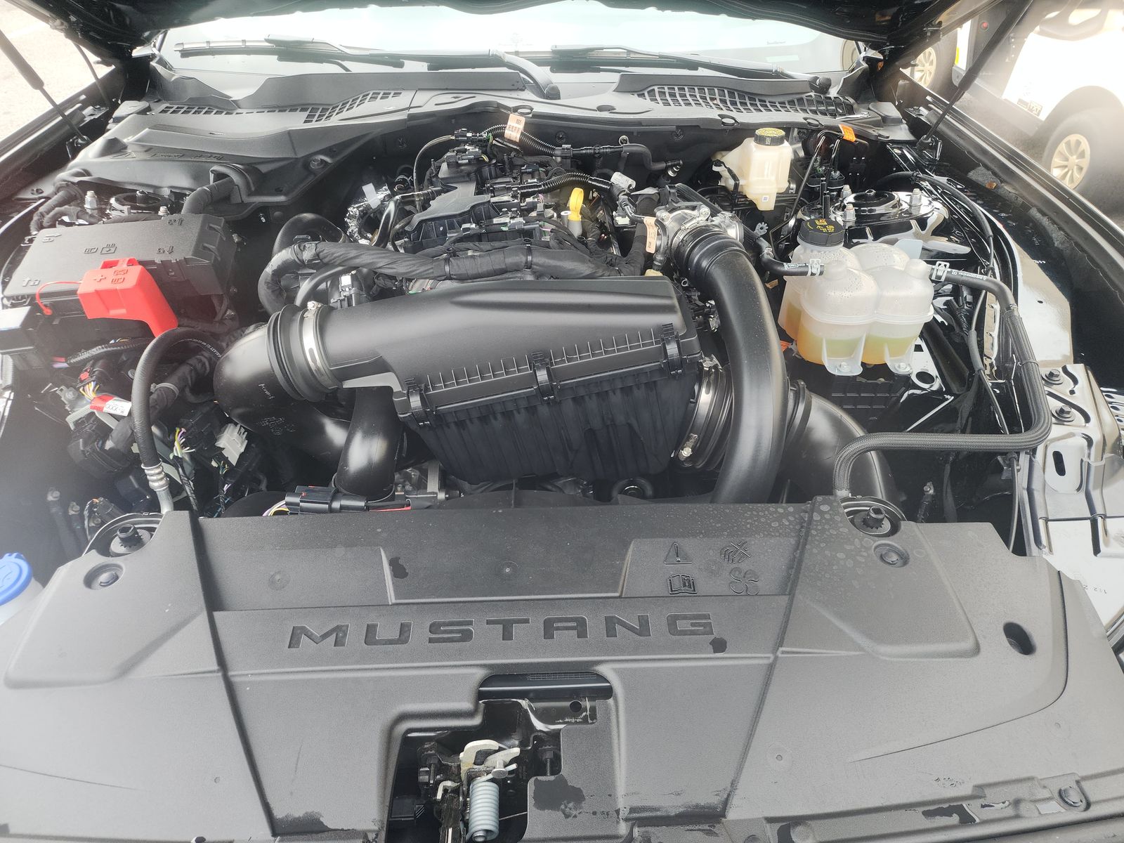 2025 Ford Mustang EcoBoost Premium RWD