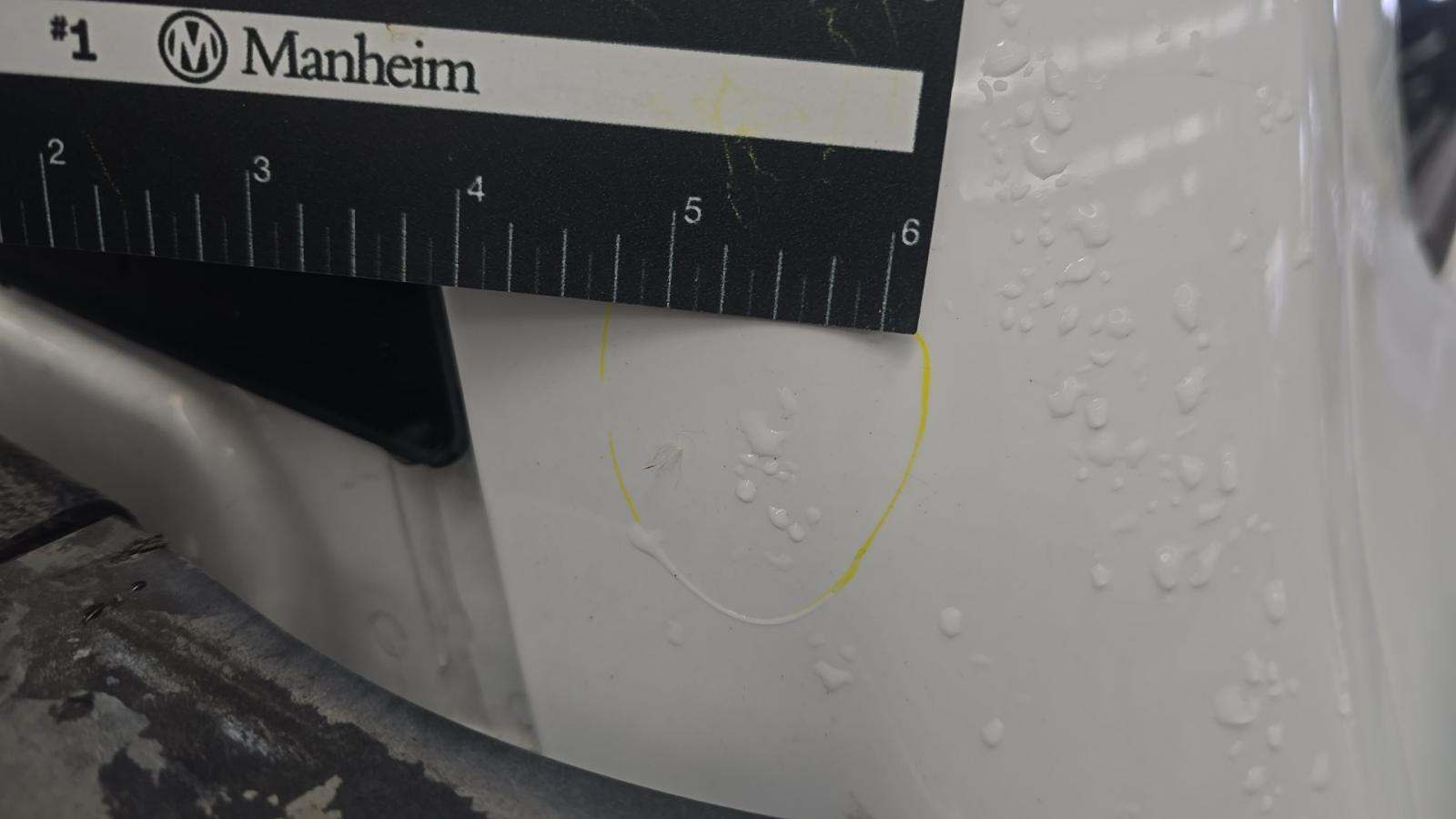 2024 Ford F-150 XLT AWD