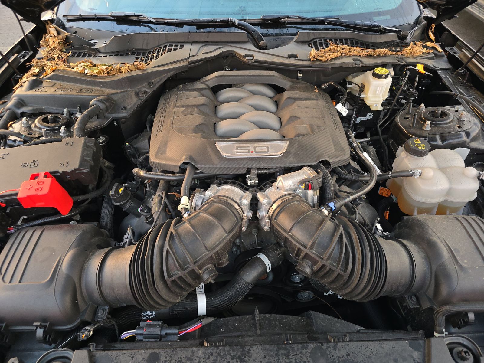 2025 Ford Mustang GT Premium RWD