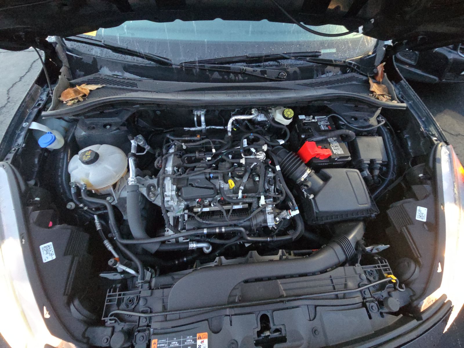 2022 Ford Escape SEL FWD