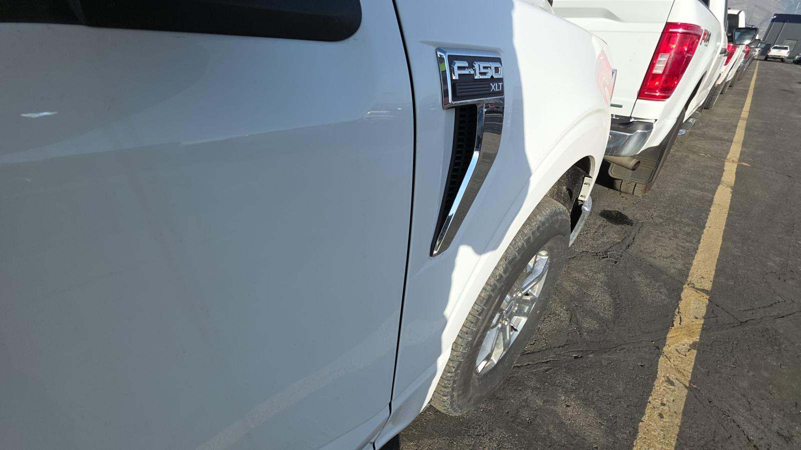 2023 Ford F-150 XLT AWD