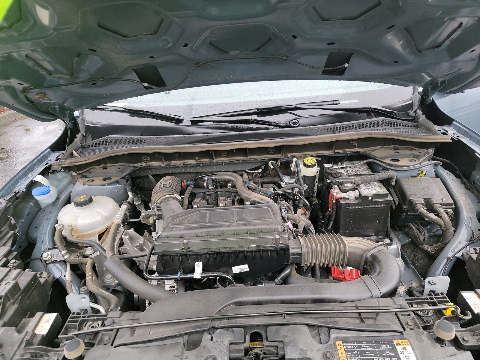 2025 Ford Escape ST-Line FWD