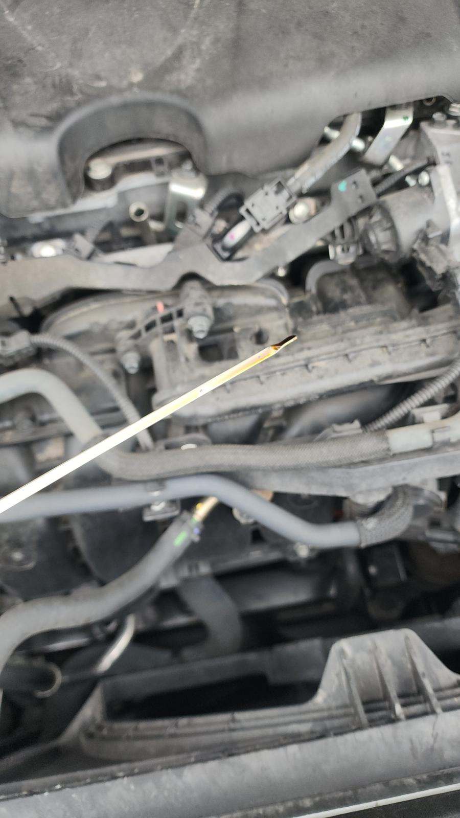 2024 Toyota Sienna LE FWD