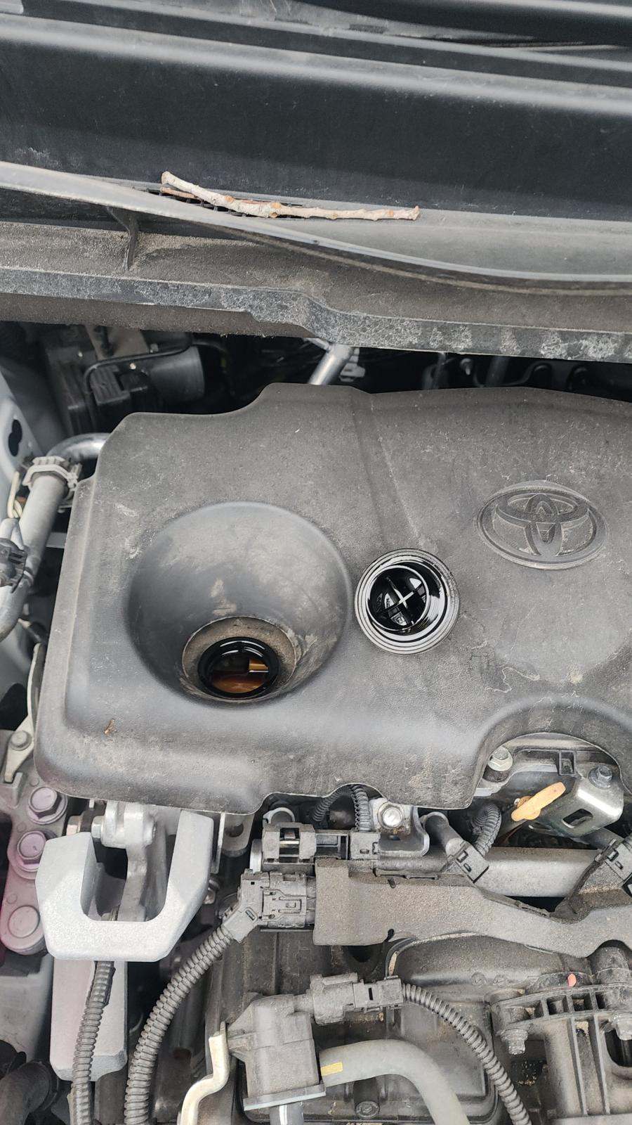 2024 Toyota Sienna LE FWD