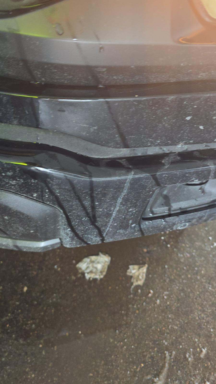 2025 Ford F-150 Tremor AWD