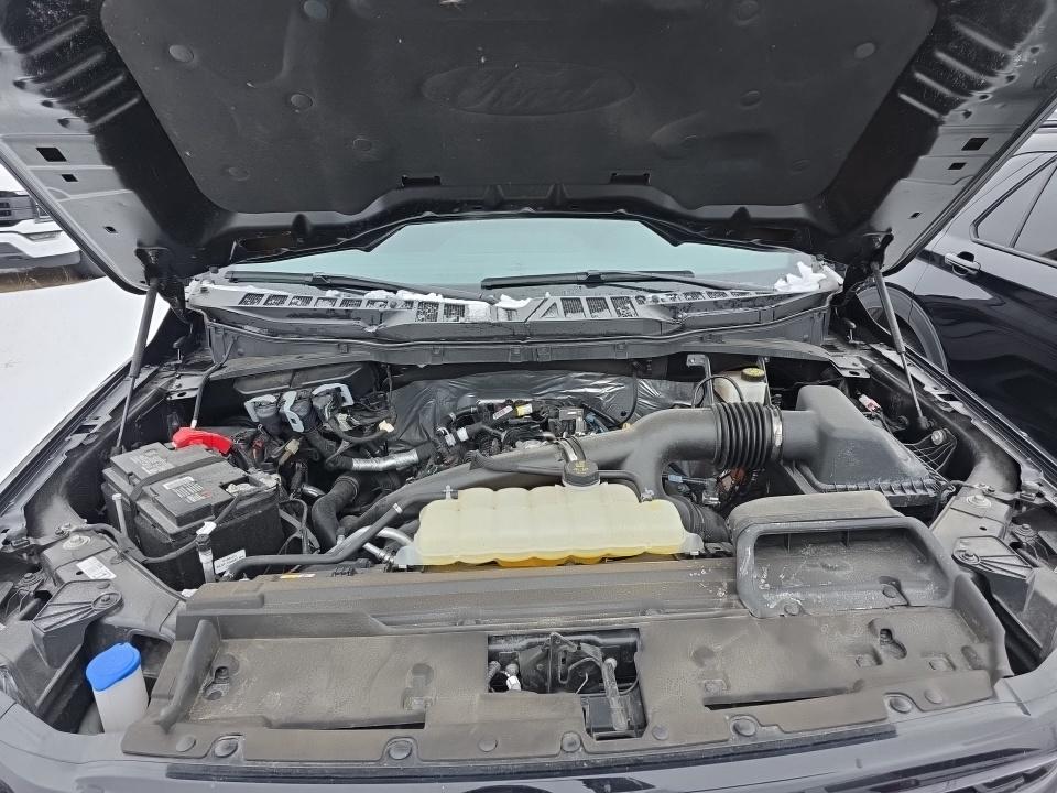 2024 Ford F-150 XLT AWD