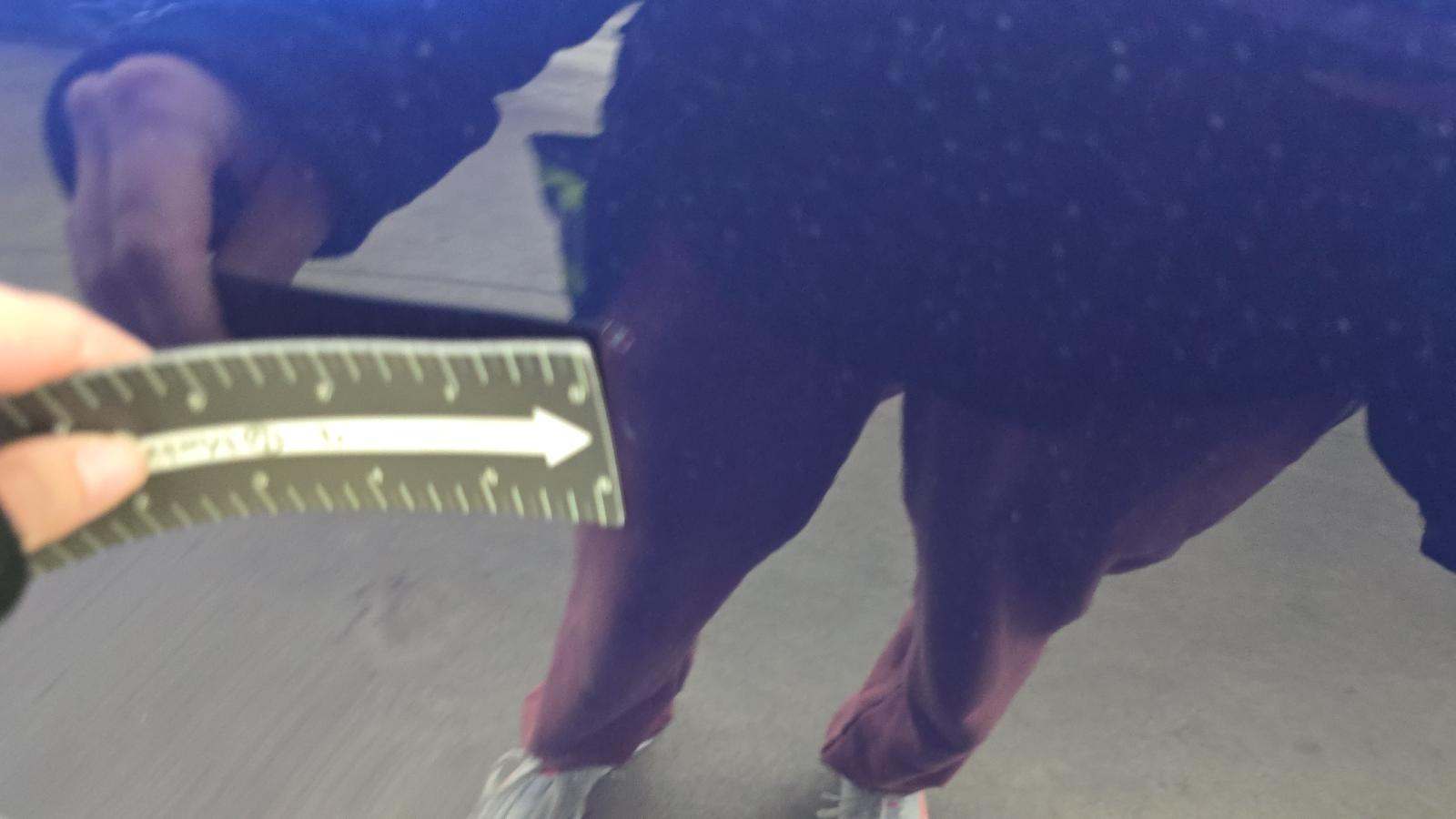 2024 Porsche Macan Base AWD