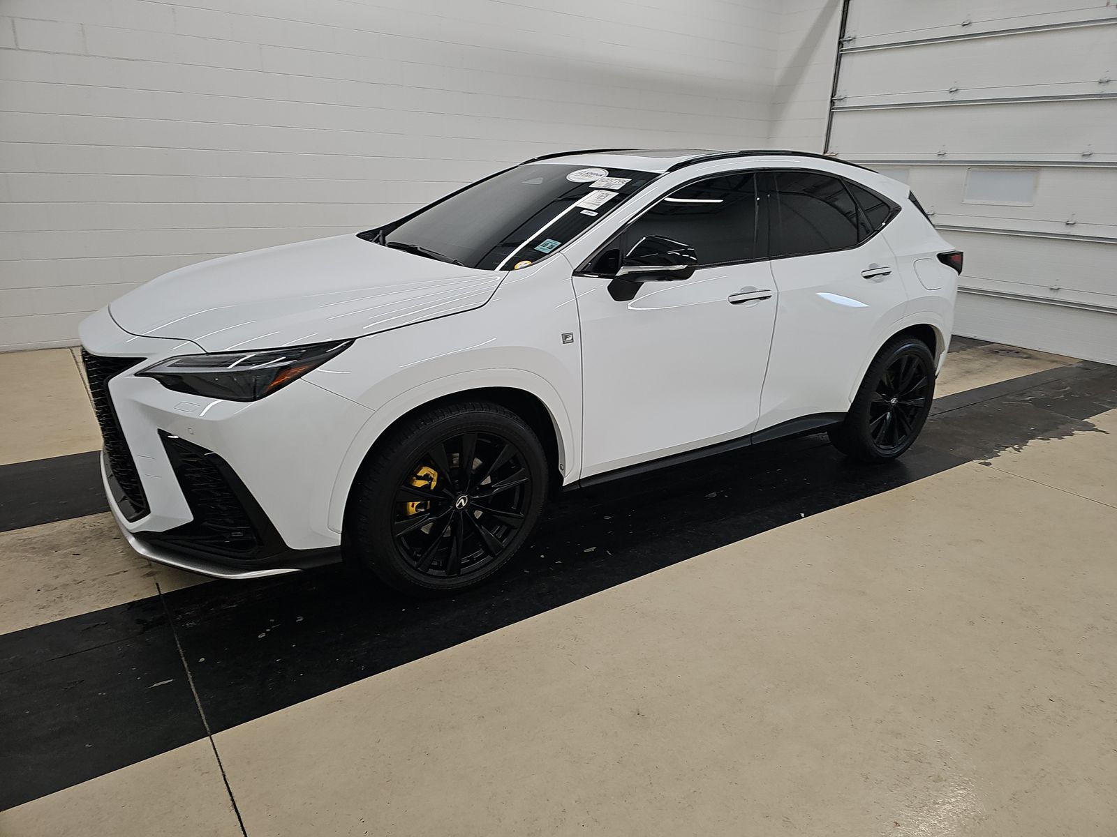 2024 Lexus NX PHEV 450h+'s photo