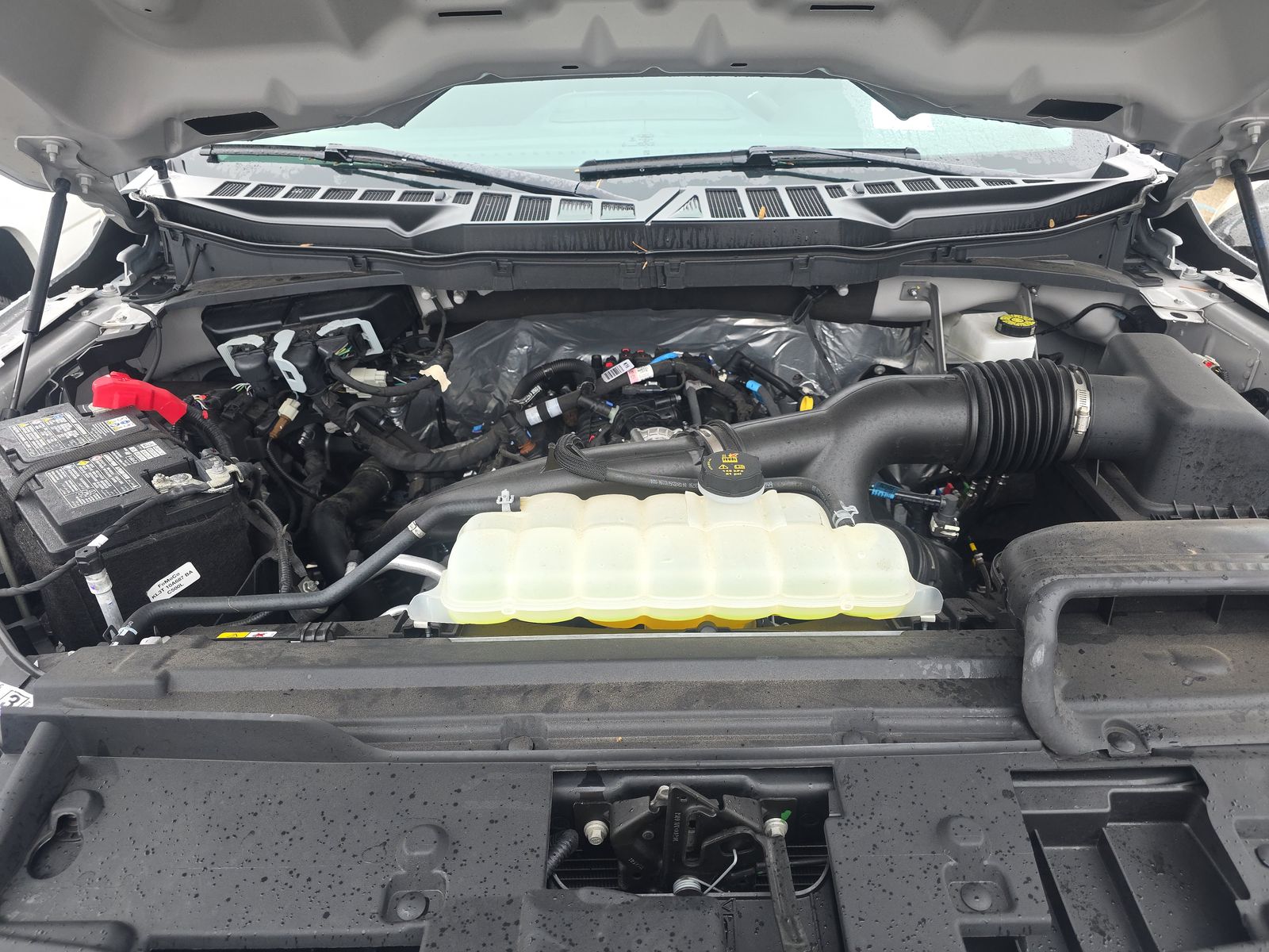 2025 Ford F-150 XLT RWD