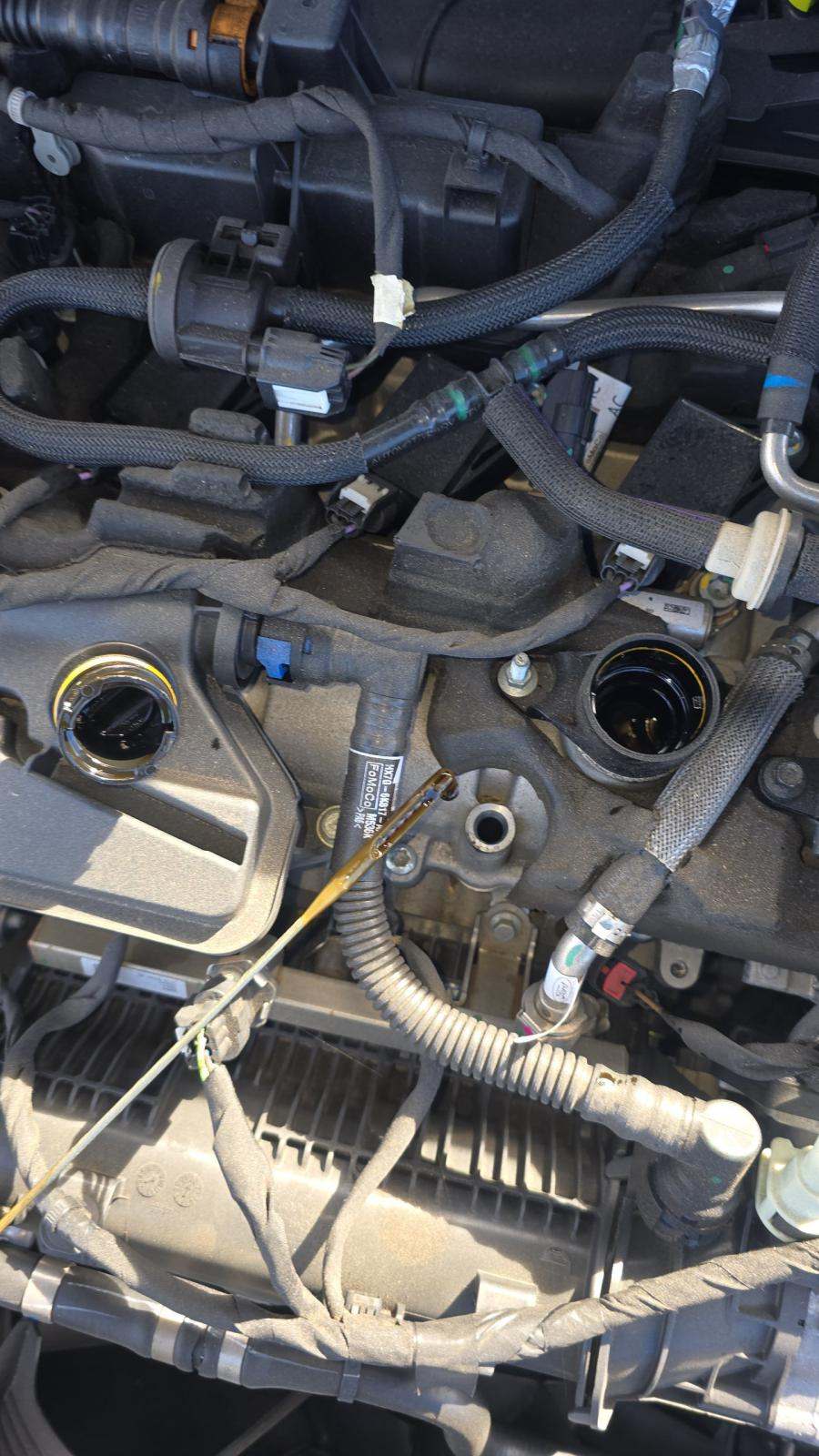 2022 Ford Escape SEL FWD