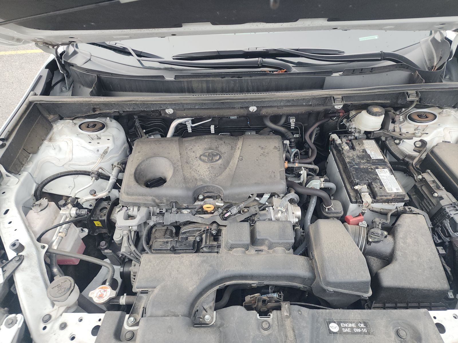 2024 Toyota RAV4 LE AWD