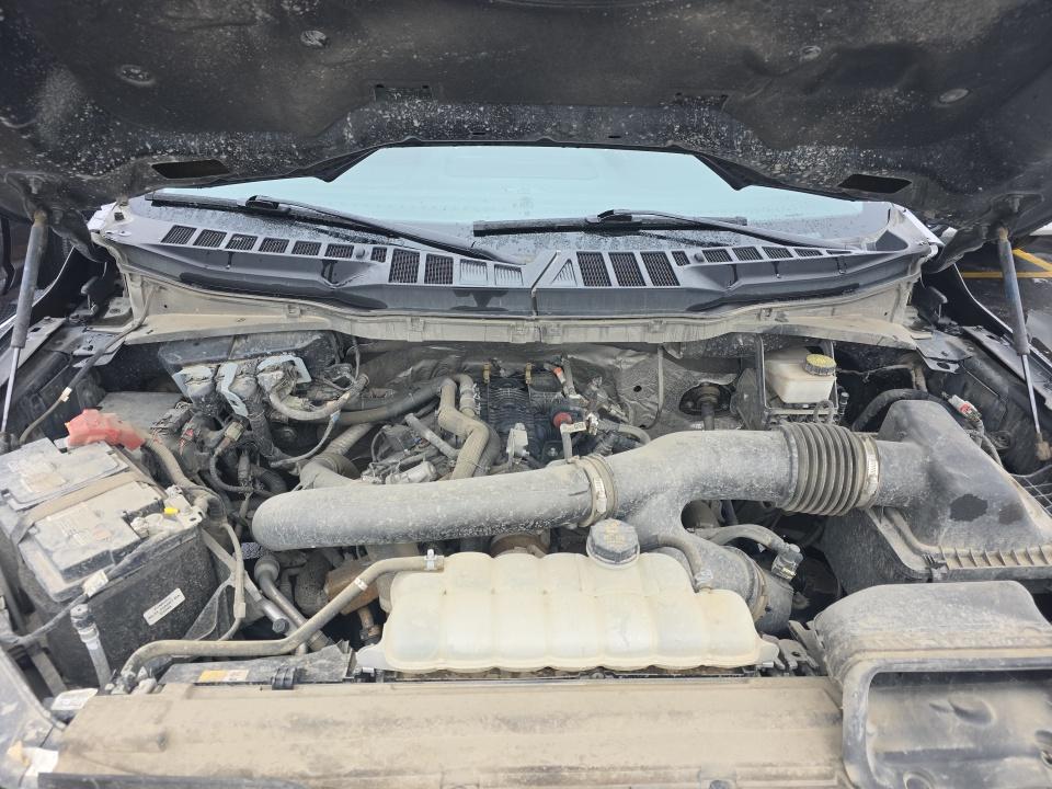 2024 Ford F-150 XLT AWD