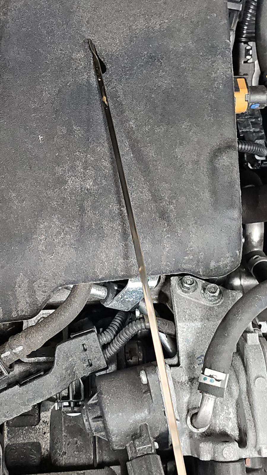 2024 Toyota Sienna LE FWD