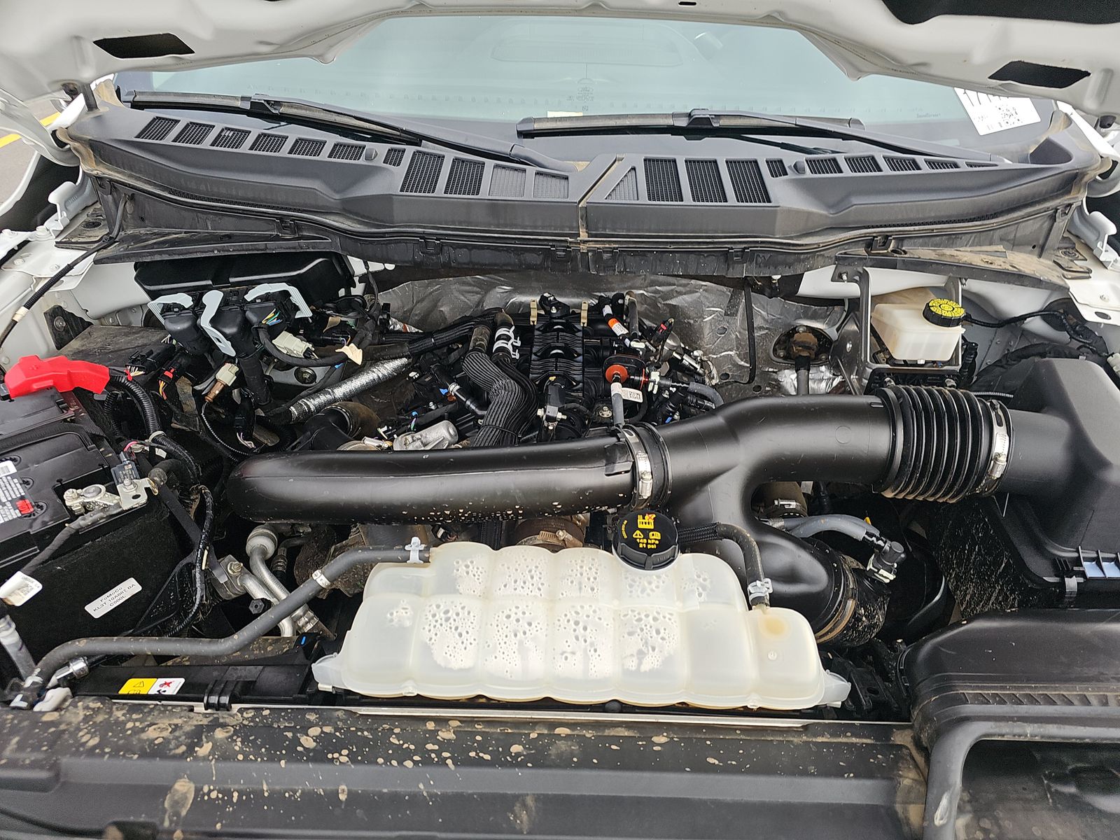 2024 Ford F-150 XLT AWD