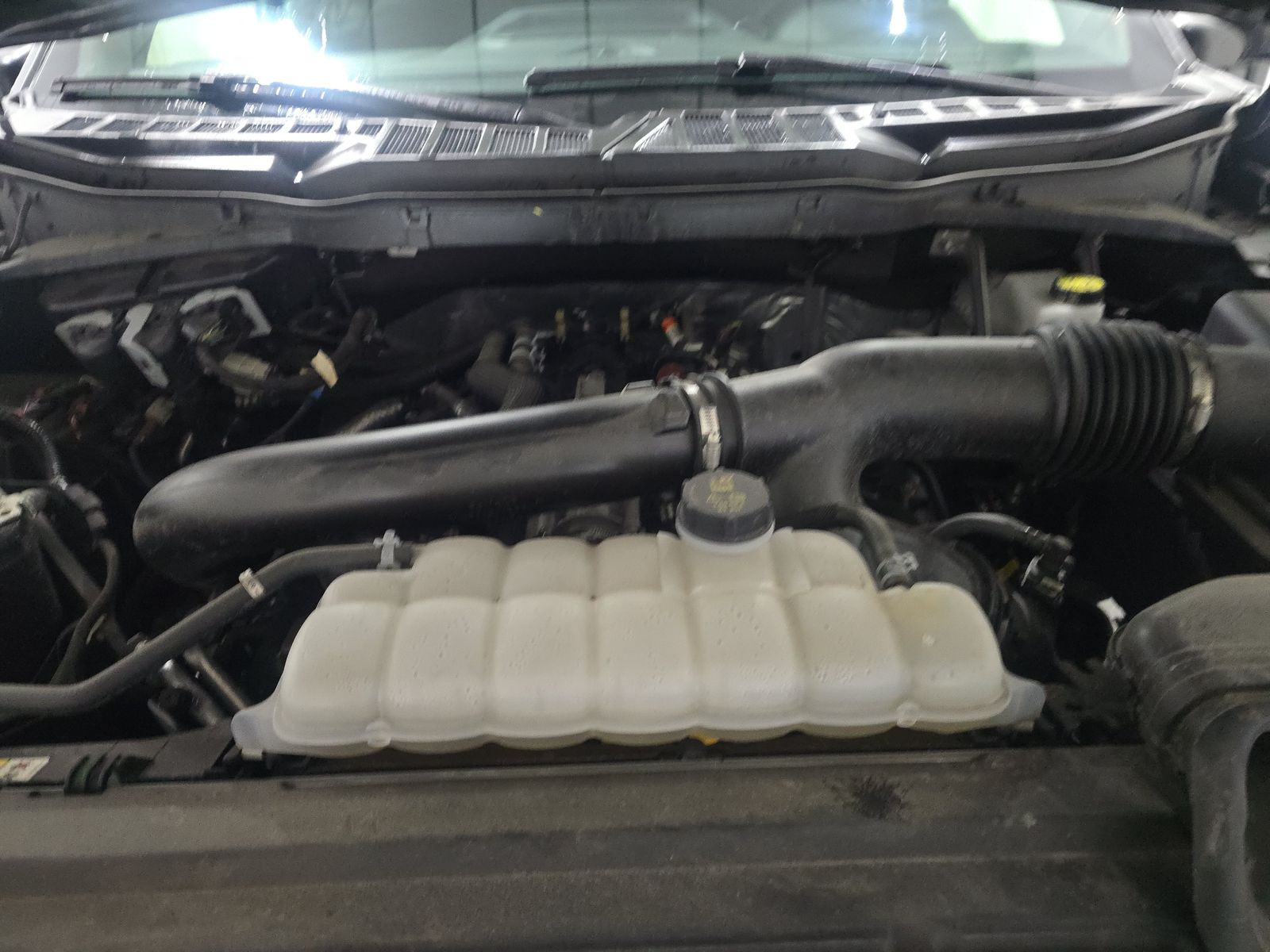 2025 Ford F-150 XLT AWD