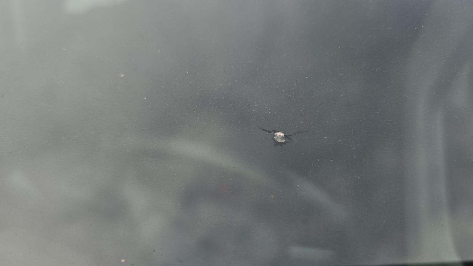 2023 Chevrolet Silverado 1500 LT AWD