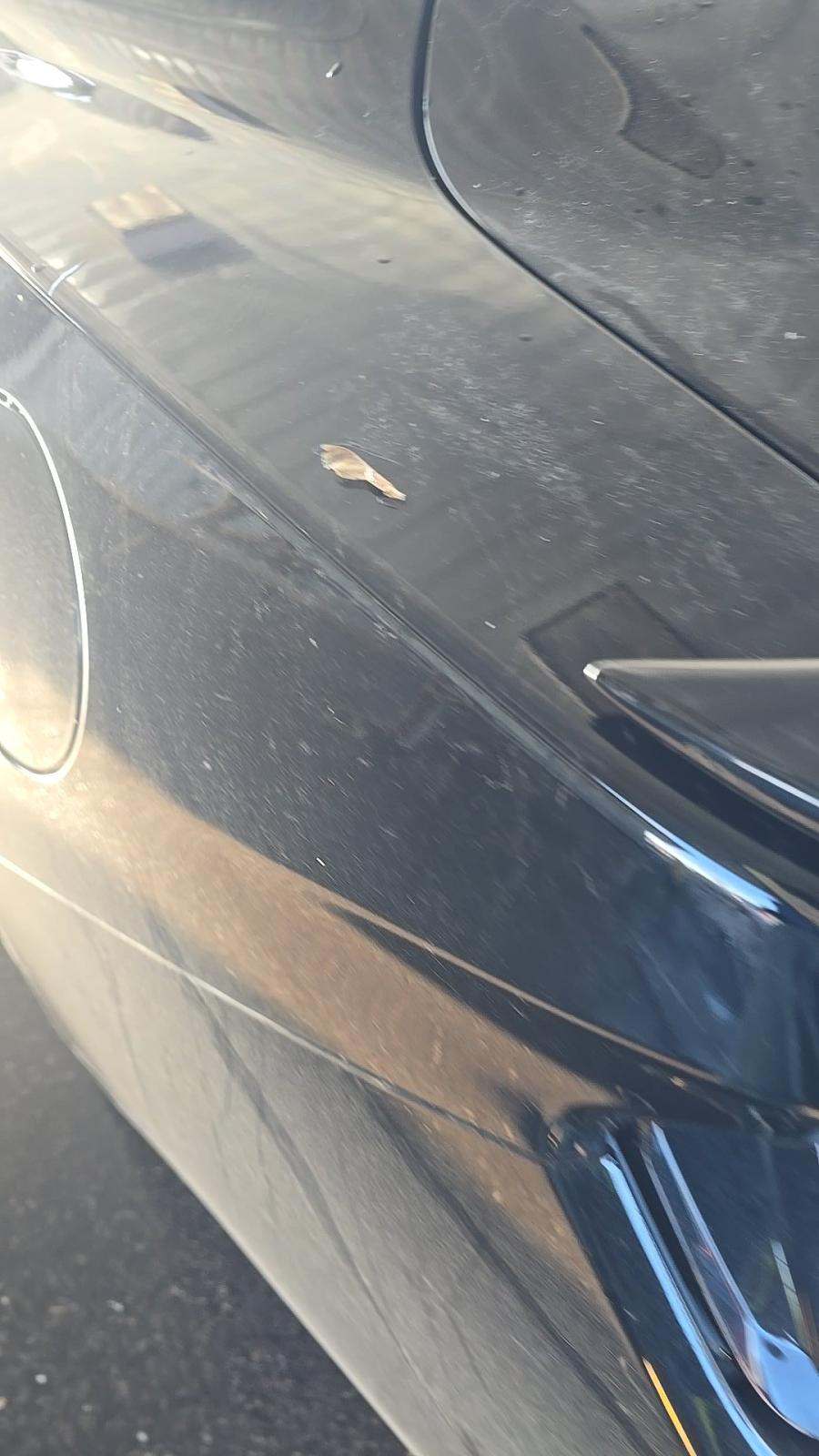 2025 Ford Mustang GT Premium RWD