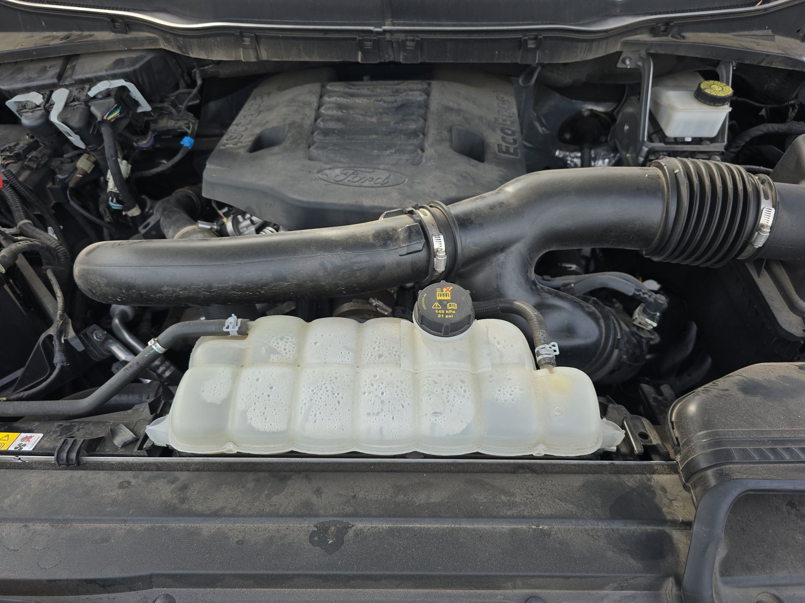 2023 Ford F-150 XLT RWD