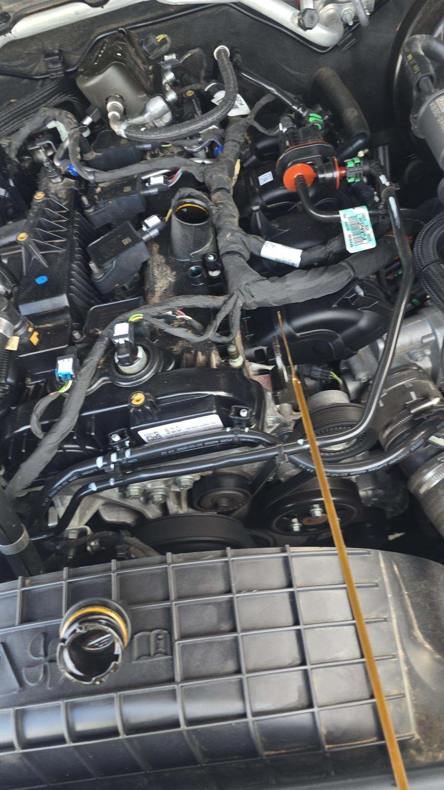 2023 Ford Ranger XLT AWD