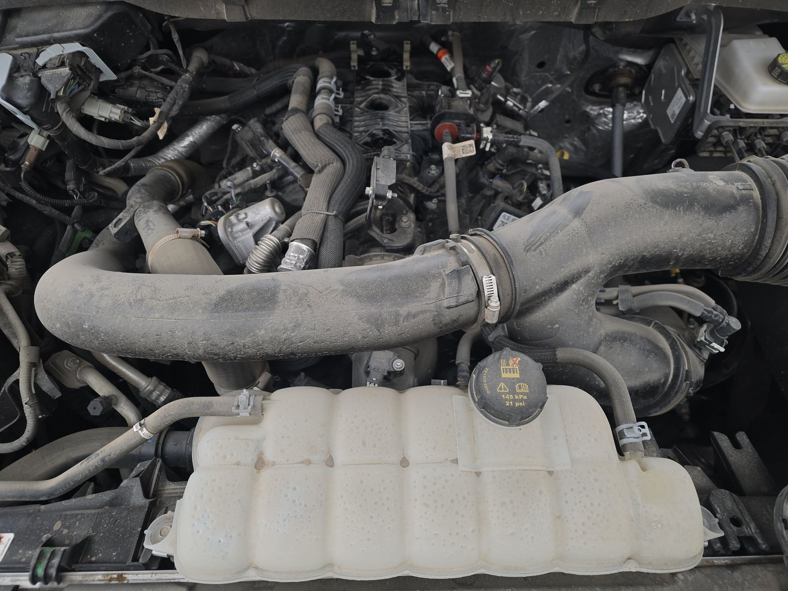 2025 Ford F-150 XLT AWD