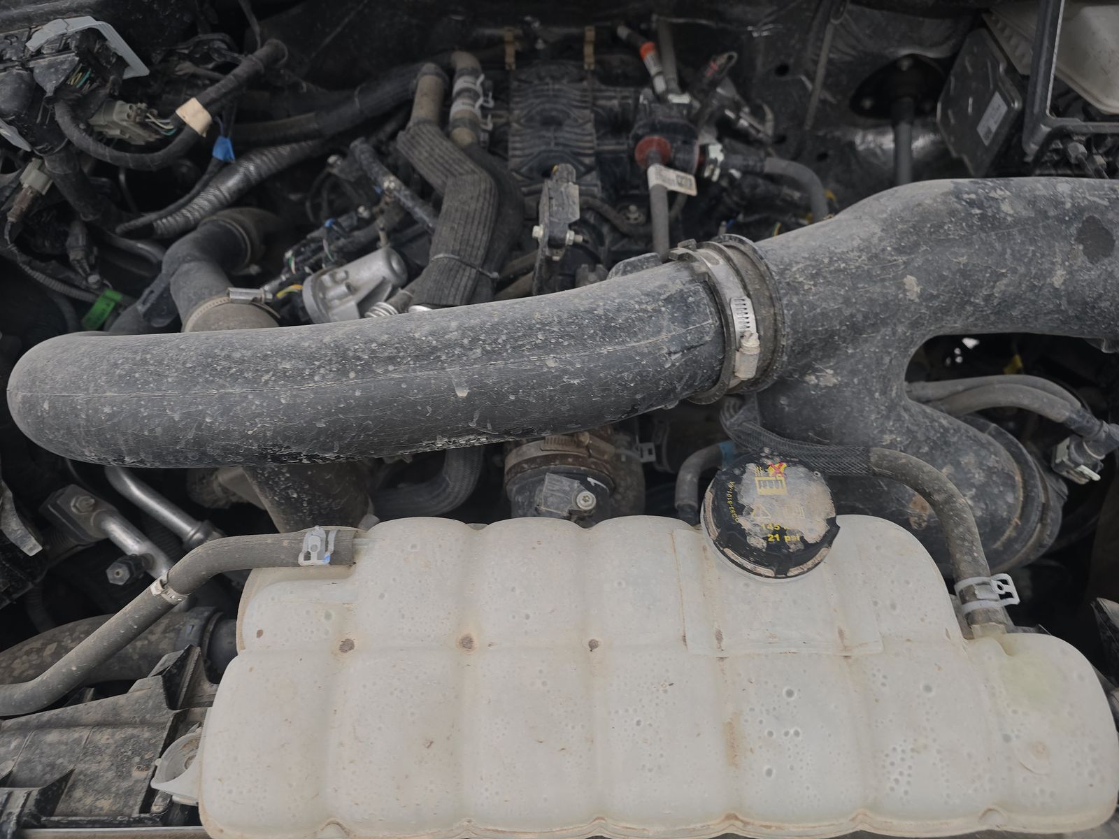 2025 Ford F-150 XLT AWD