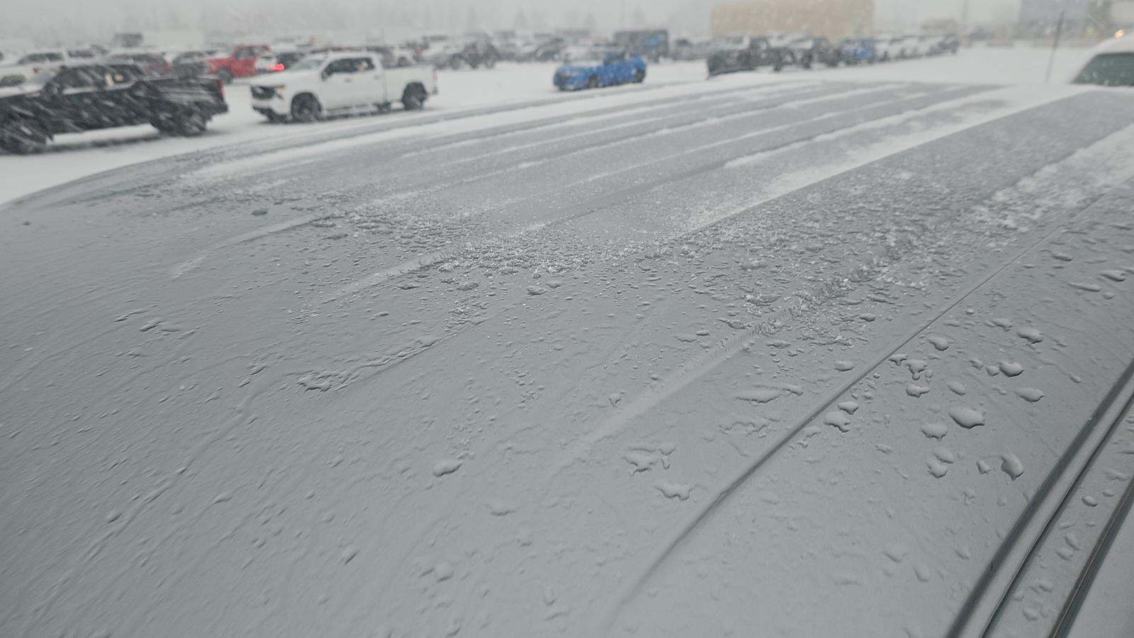 2025 Ford F-150 XLT AWD