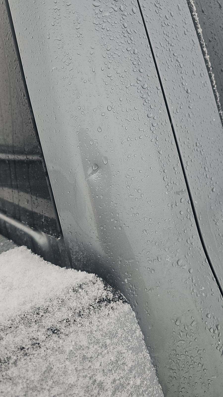 2025 Ford F-150 XLT AWD