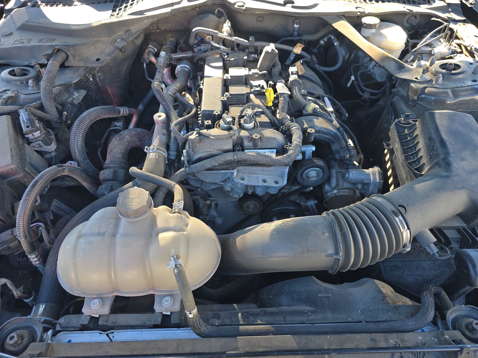 2023 Ford Mustang EcoBoost Premium RWD