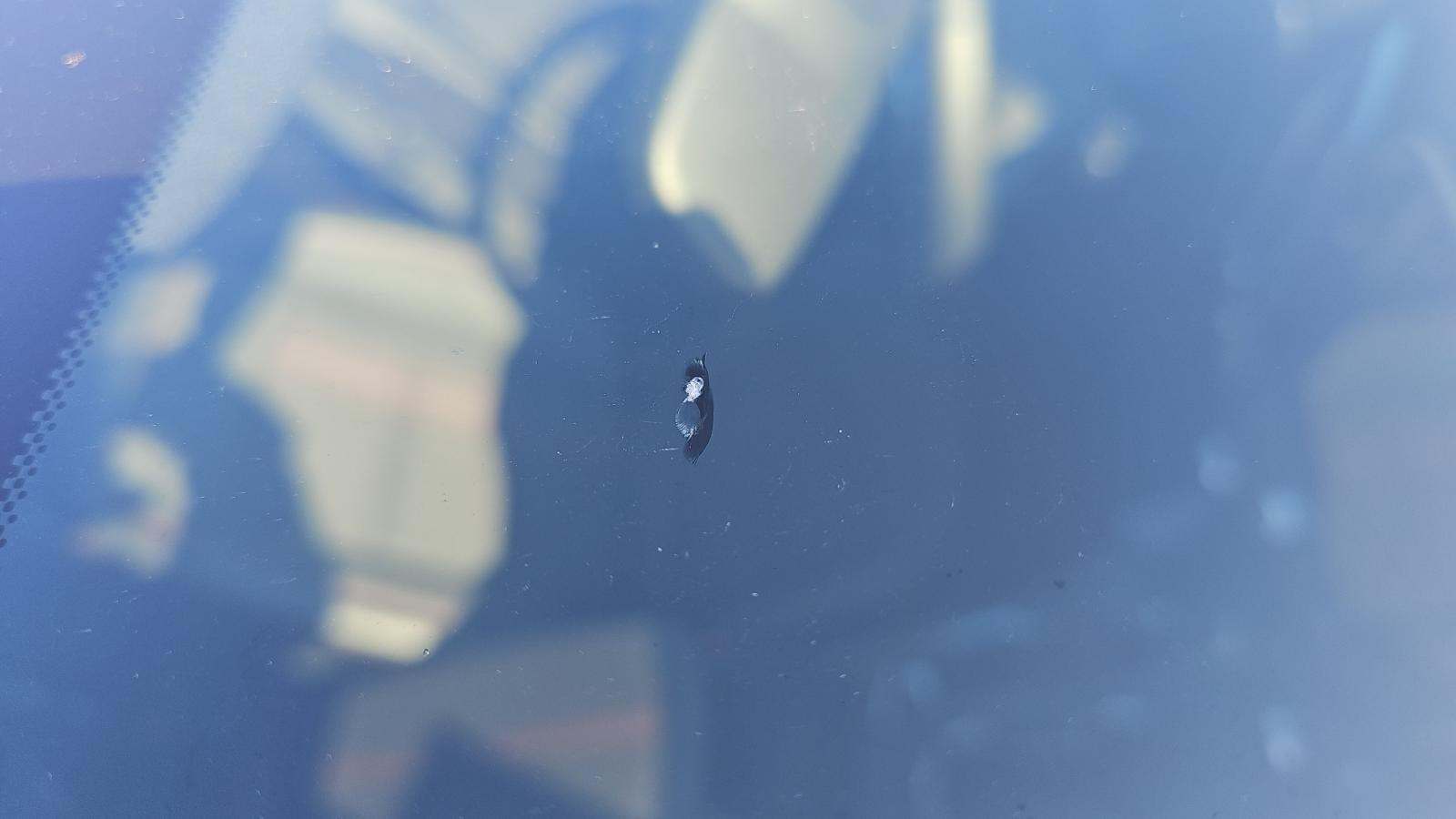 2024 Chevrolet Equinox RS AWD