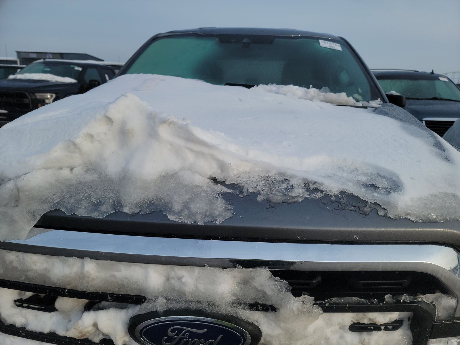 2023 Ford F-150 XLT AWD