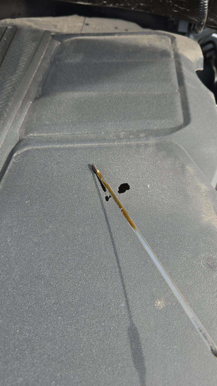 2024 Toyota Tundra SR5 AWD