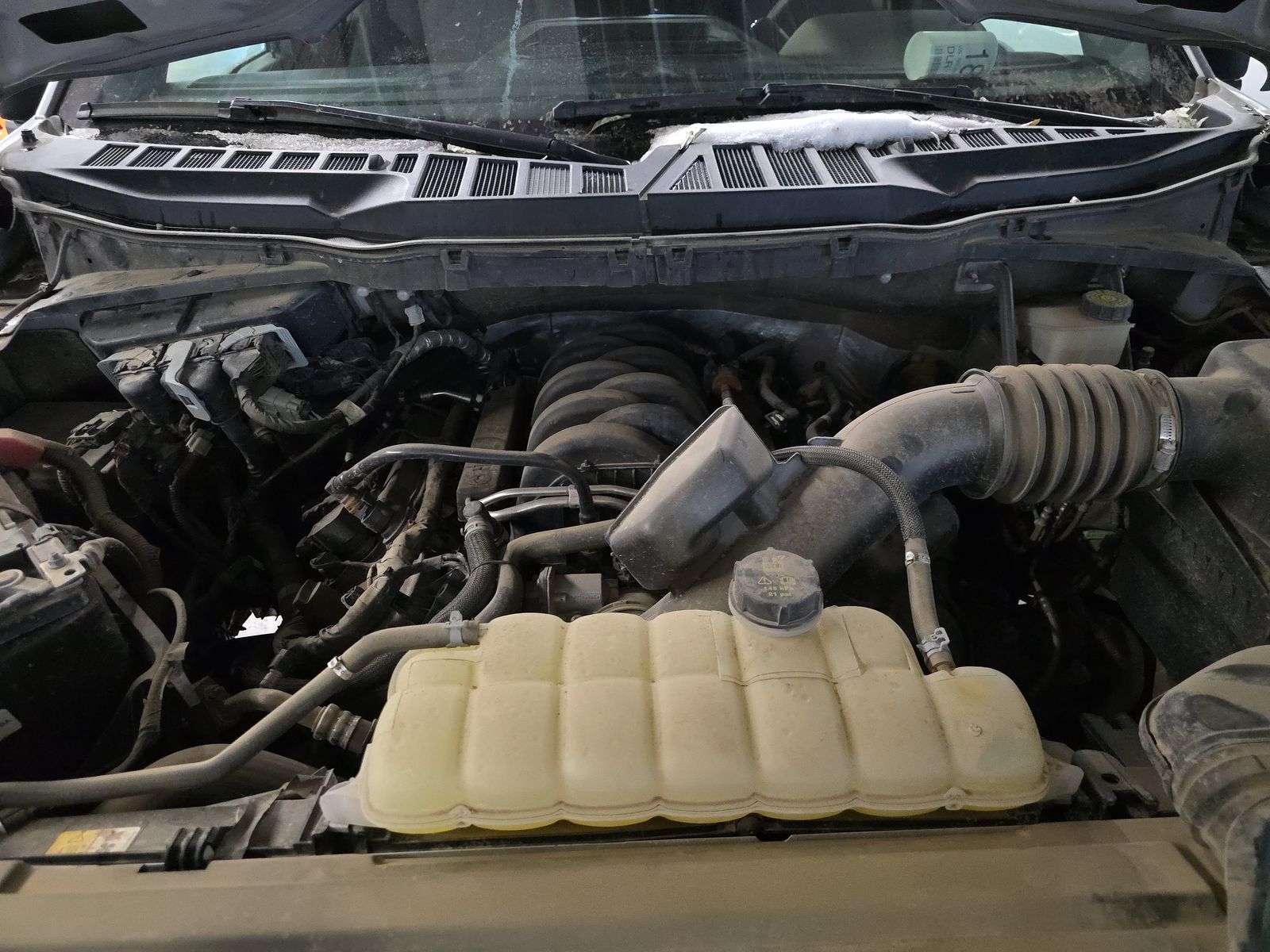 2024 Ford F-150 XLT AWD