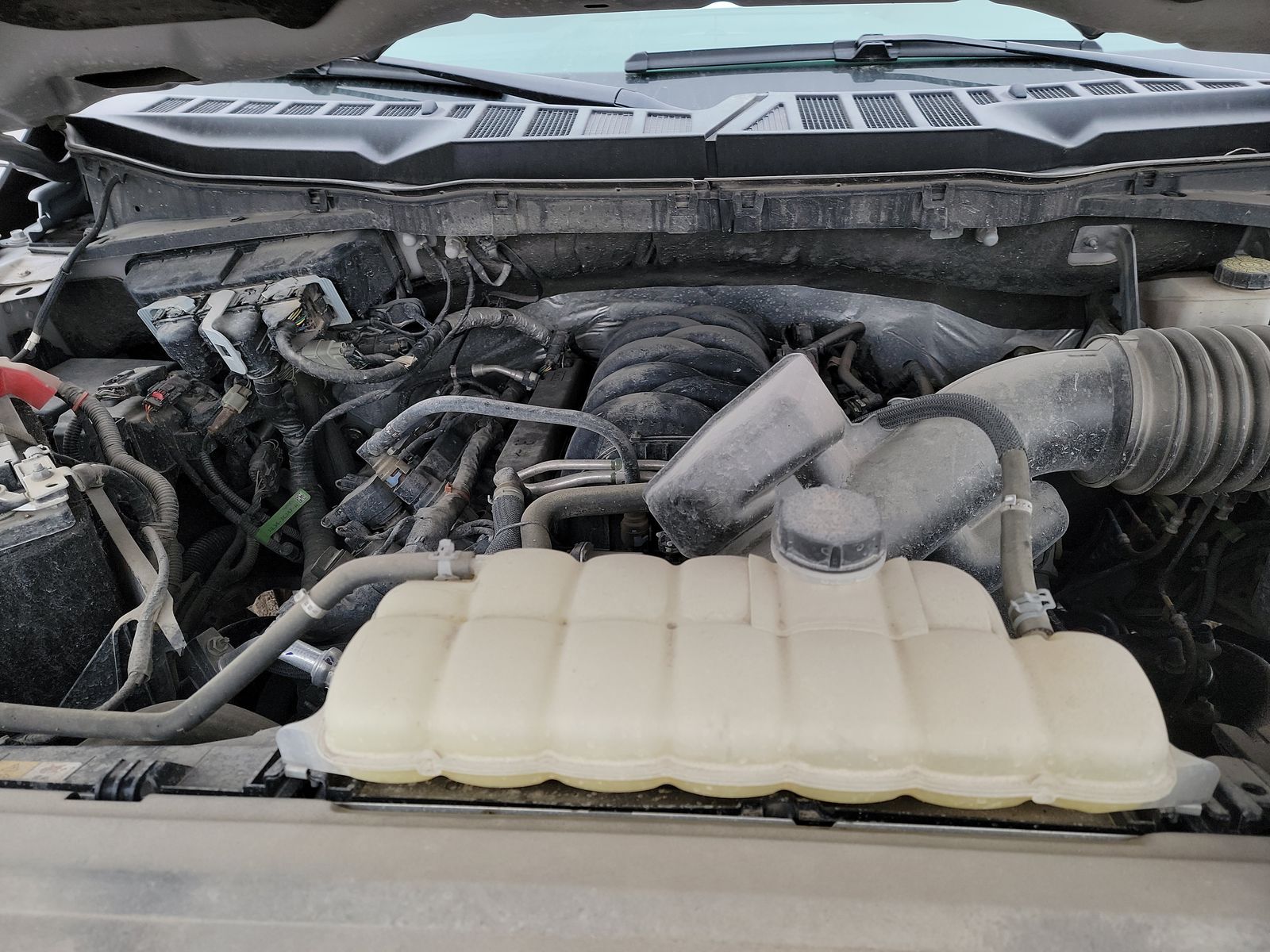 2024 Ford F-150 XLT AWD