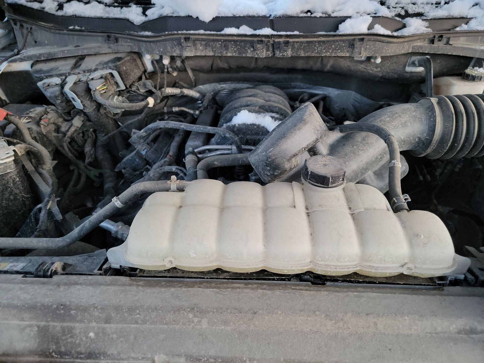 2024 Ford F-150 XLT AWD