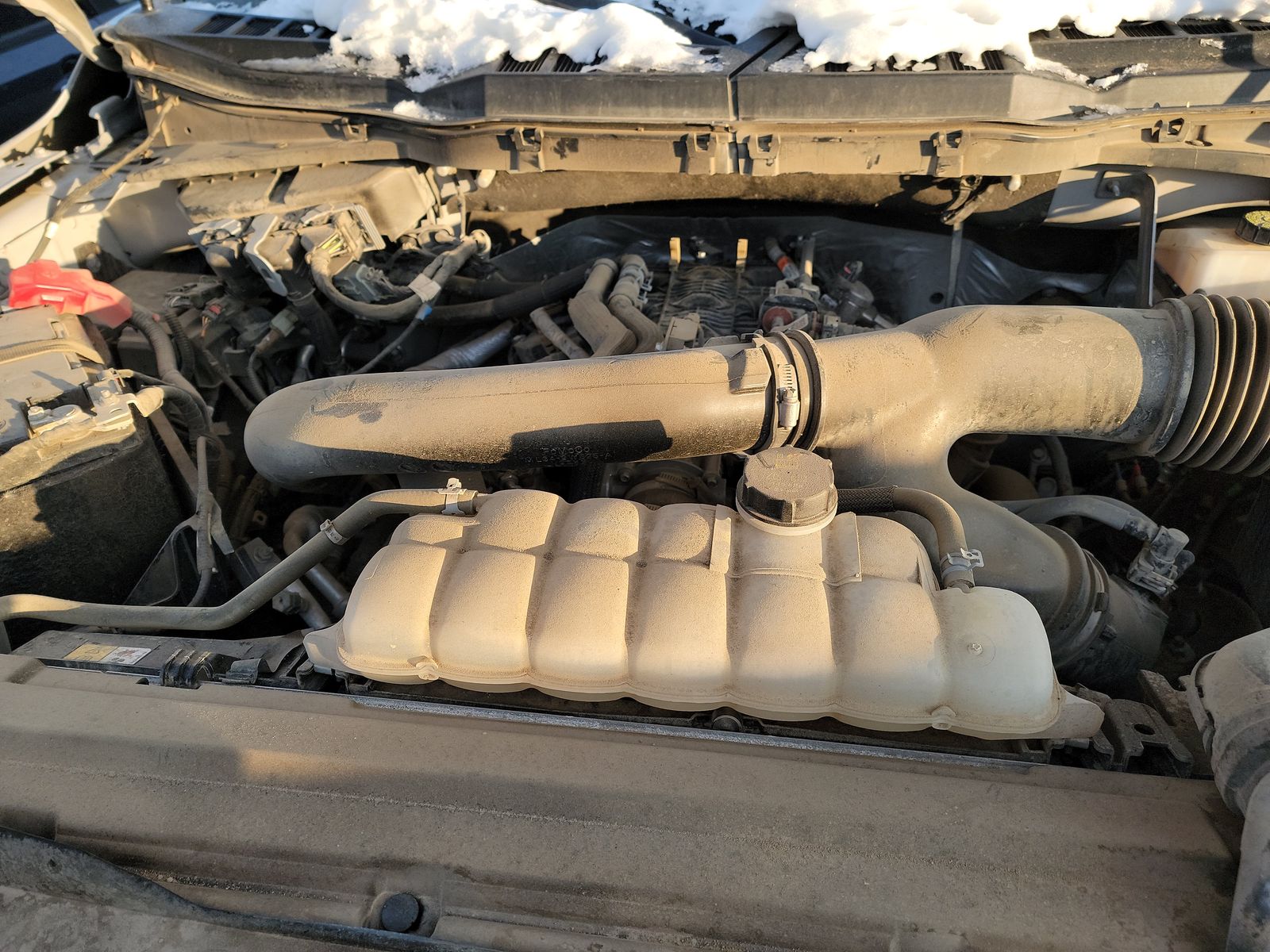 2024 Ford F-150 XLT AWD