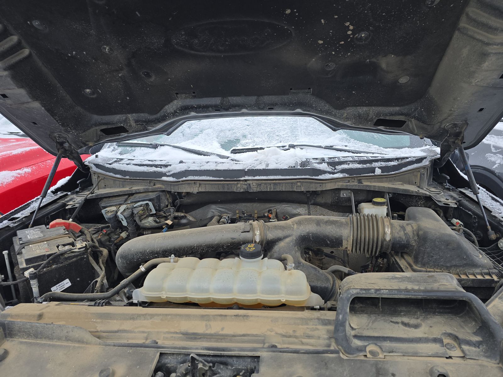 2024 Ford F-150 XLT AWD