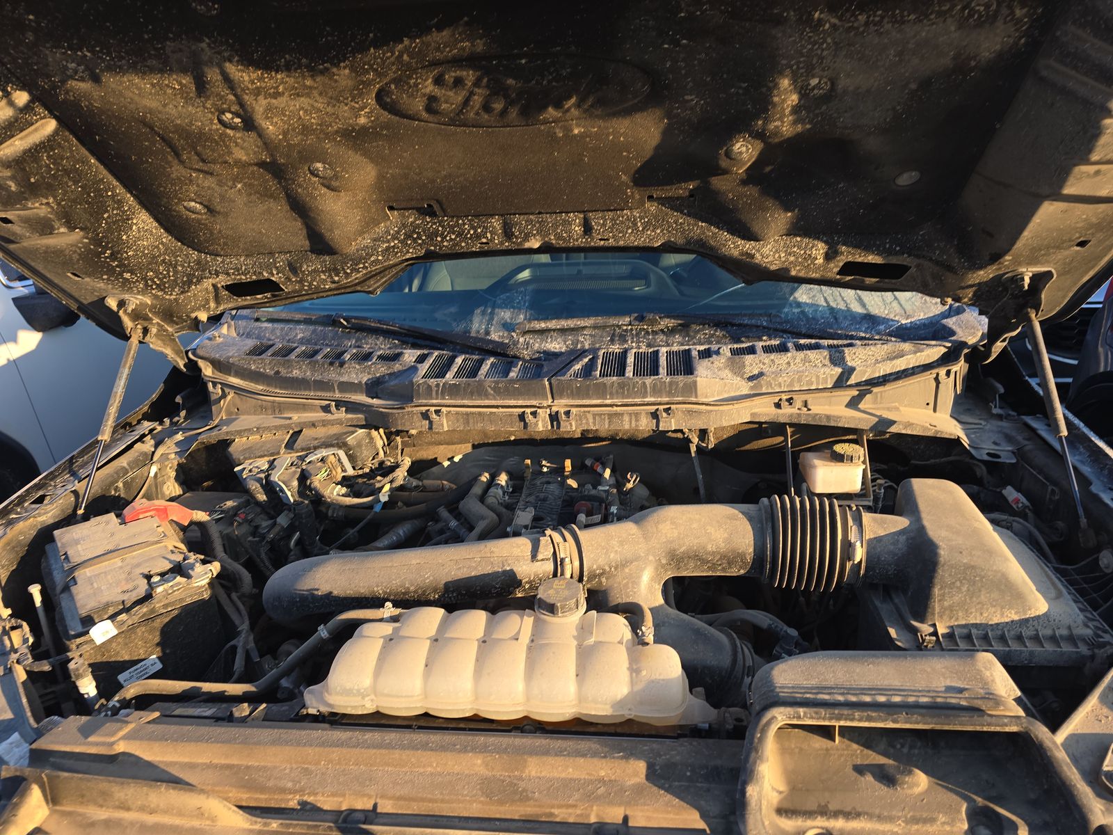 2024 Ford F-150 XLT AWD