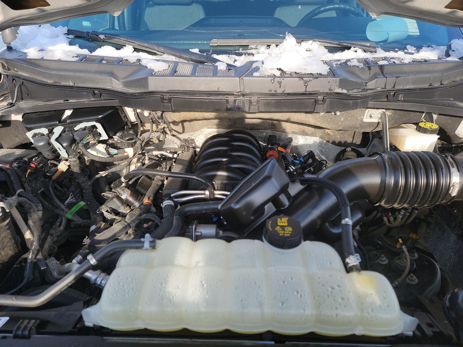 2024 Ford F-150 XLT AWD