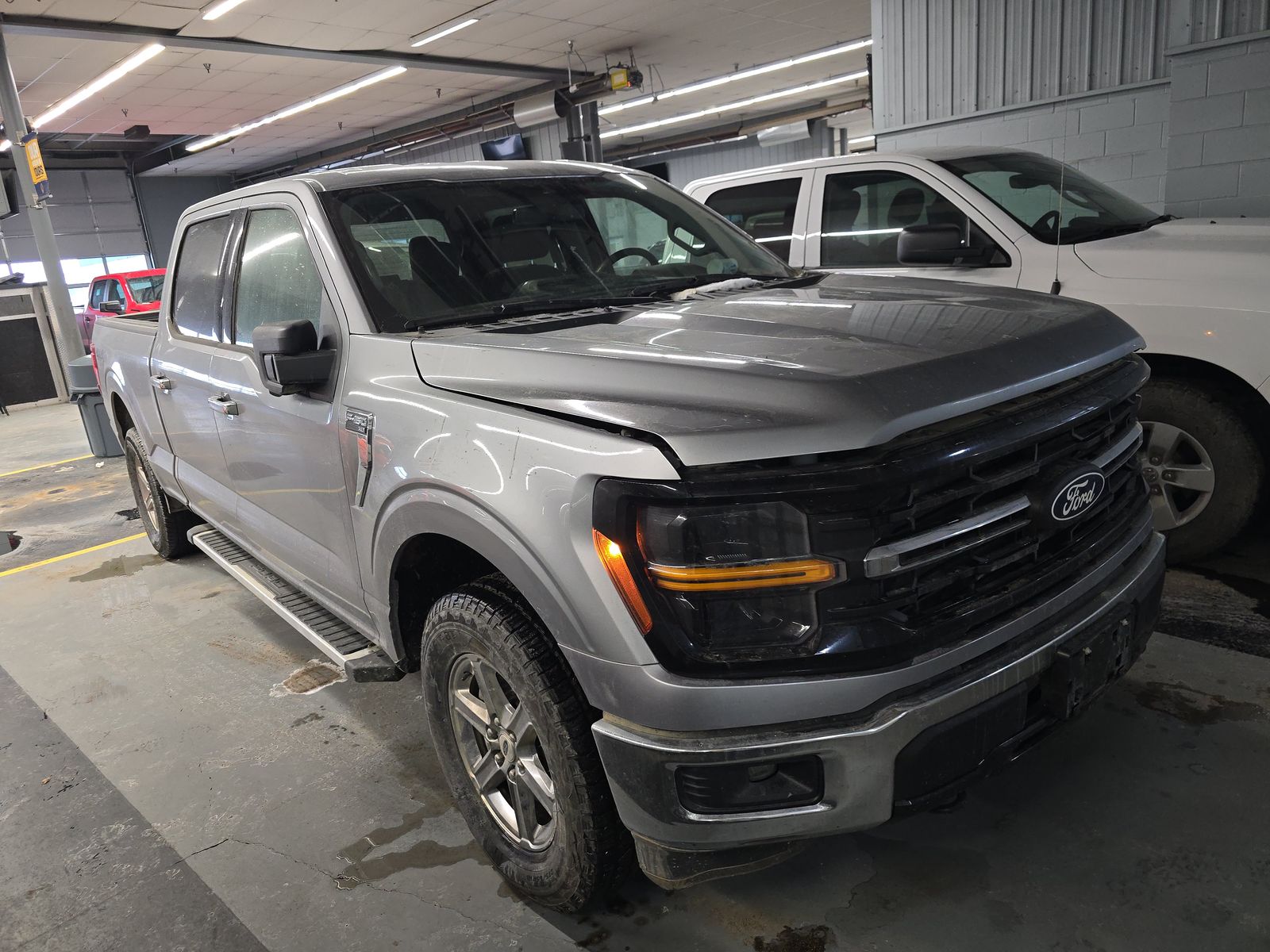 2024 Ford F-150 XLT AWD