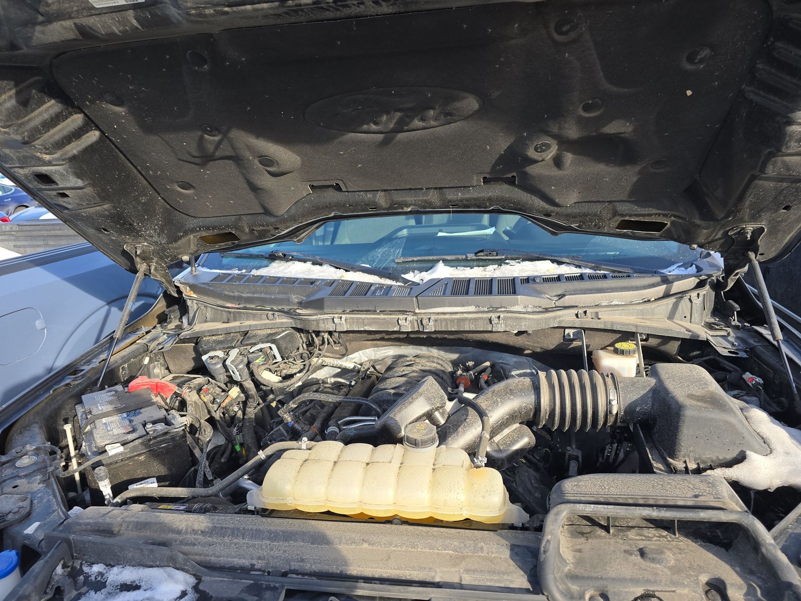 2024 Ford F-150 XLT AWD