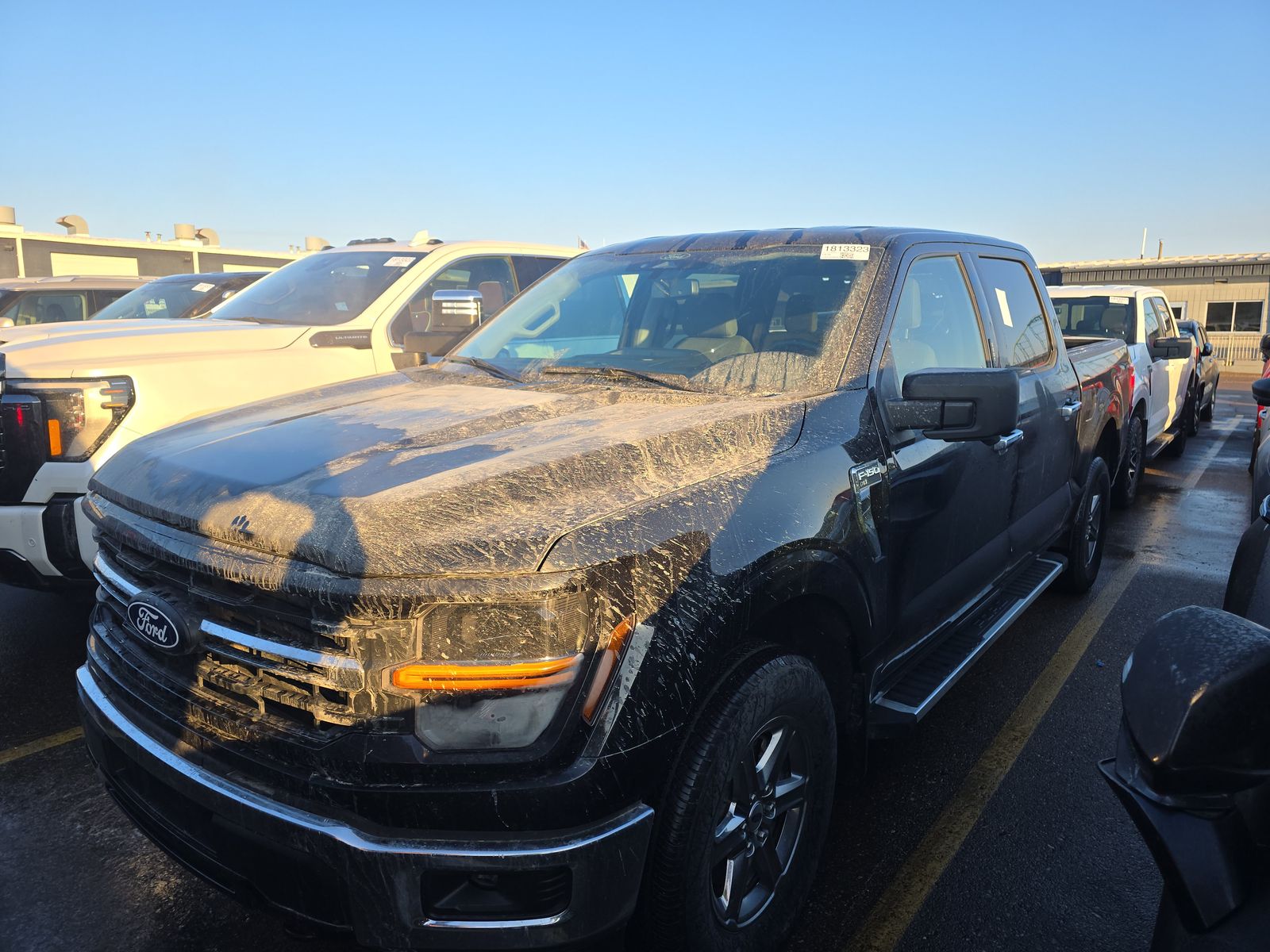 2024 Ford F-150 XLT AWD