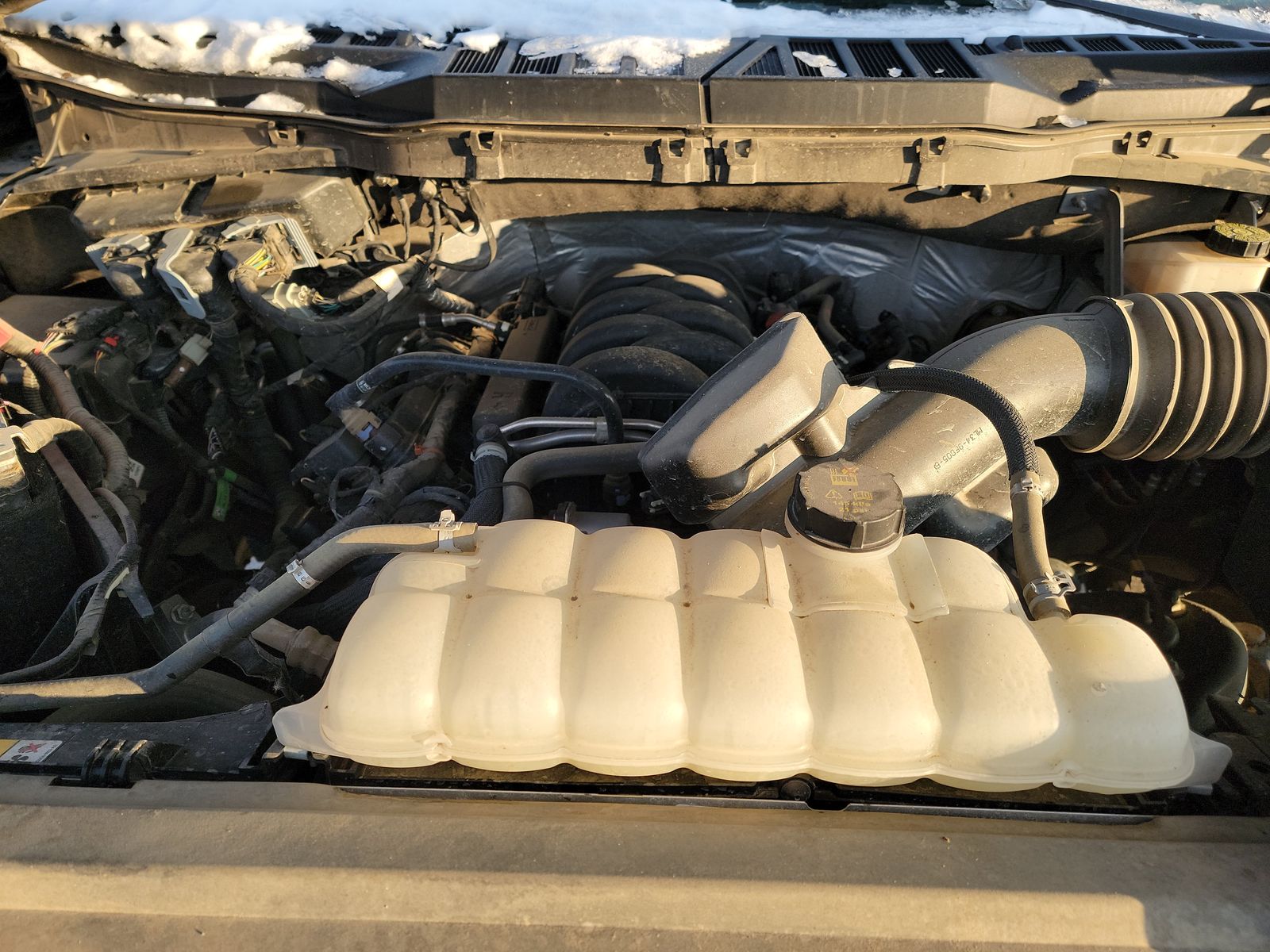 2024 Ford F-150 XLT AWD