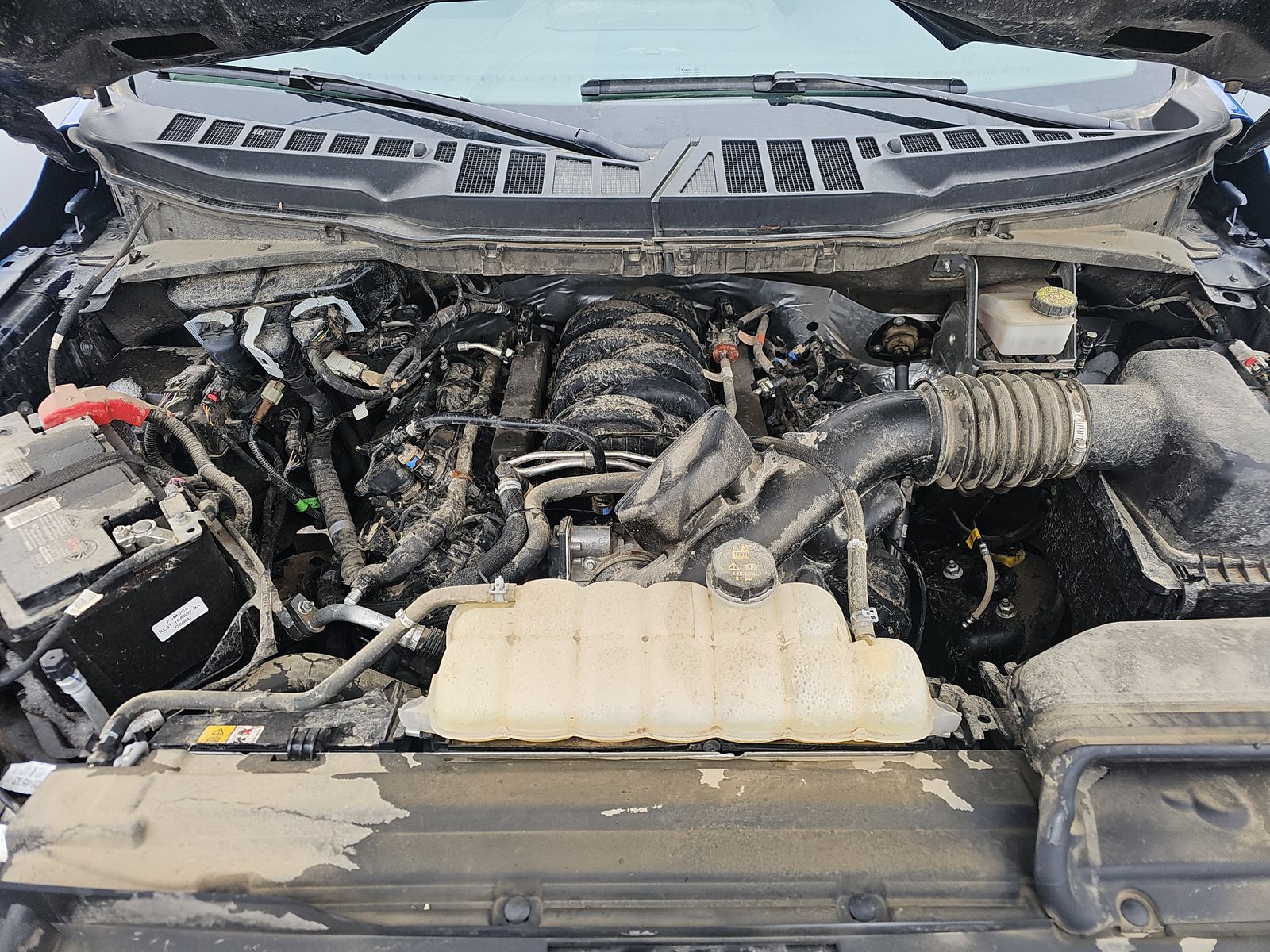 2024 Ford F-150 XLT AWD