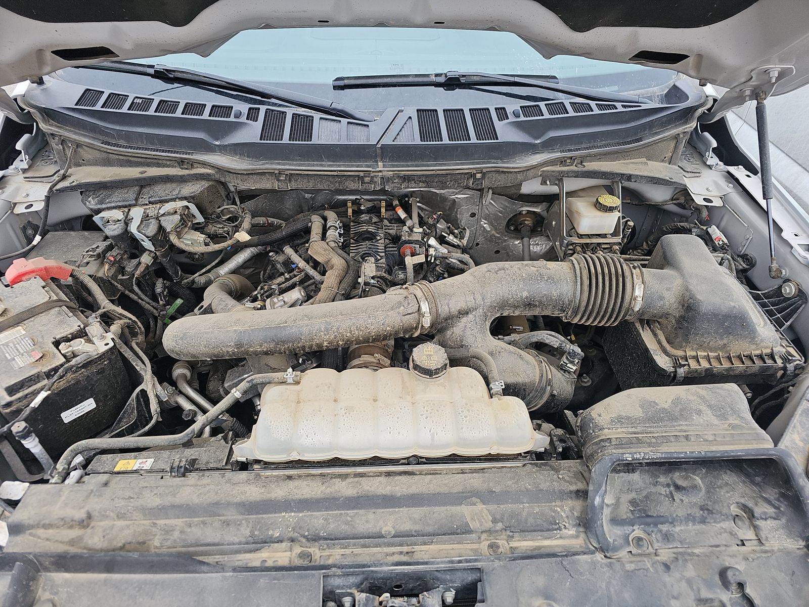 2024 Ford F-150 XLT AWD