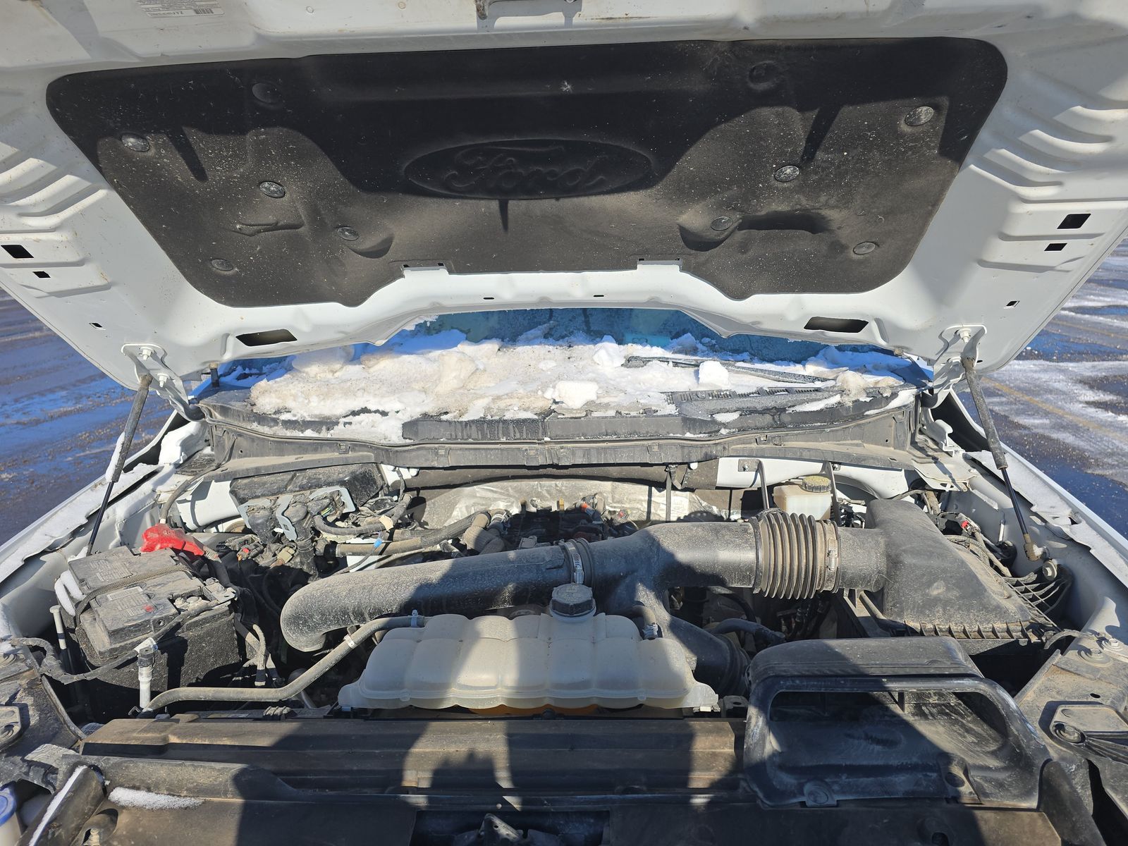 2024 Ford F-150 XLT AWD