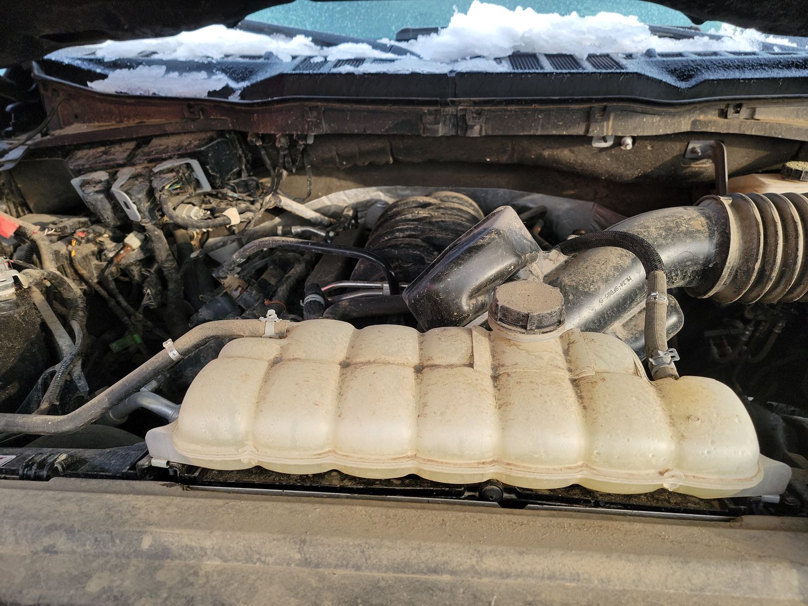 2024 Ford F-150 XLT AWD