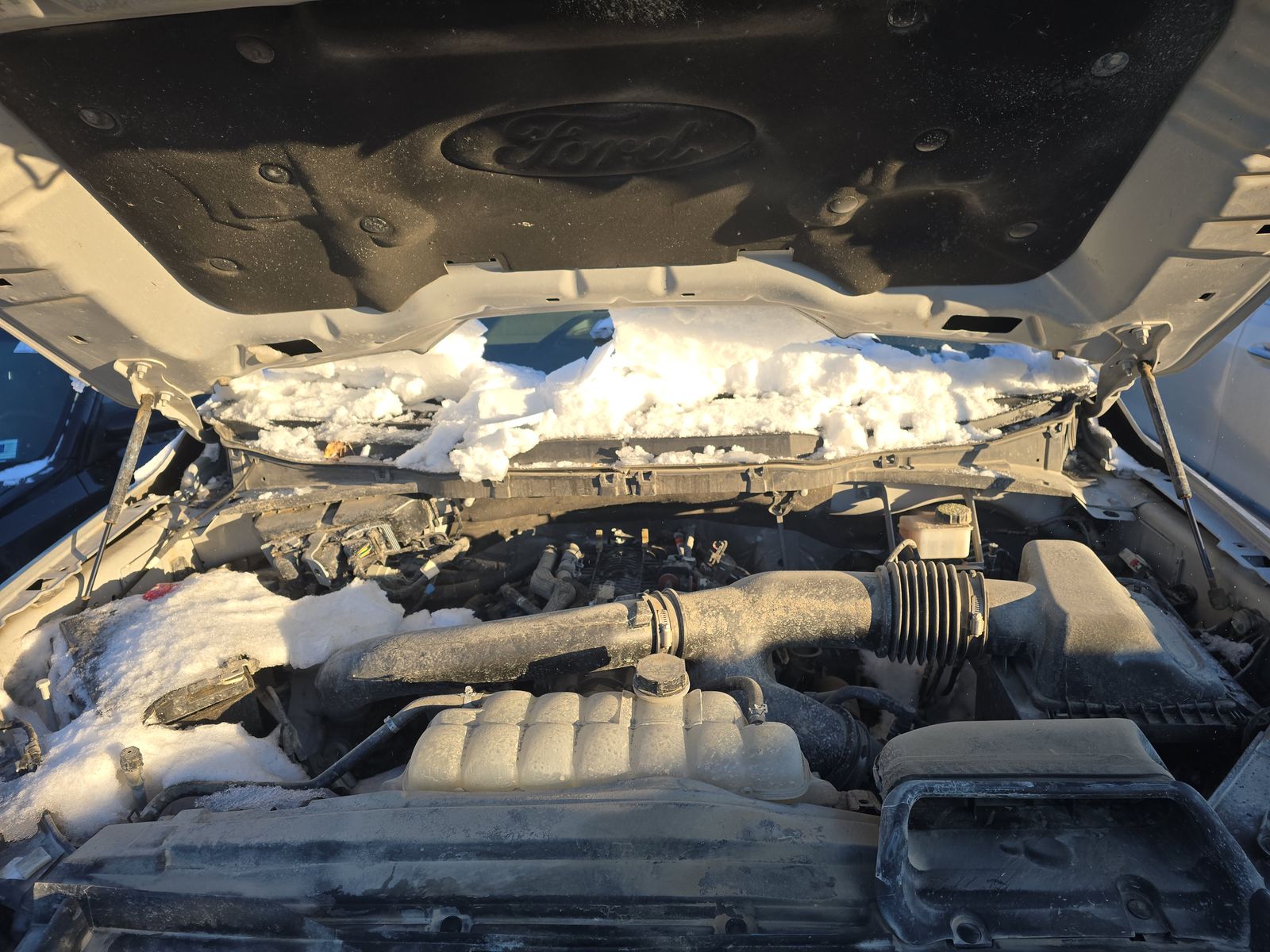 2024 Ford F-150 XLT AWD