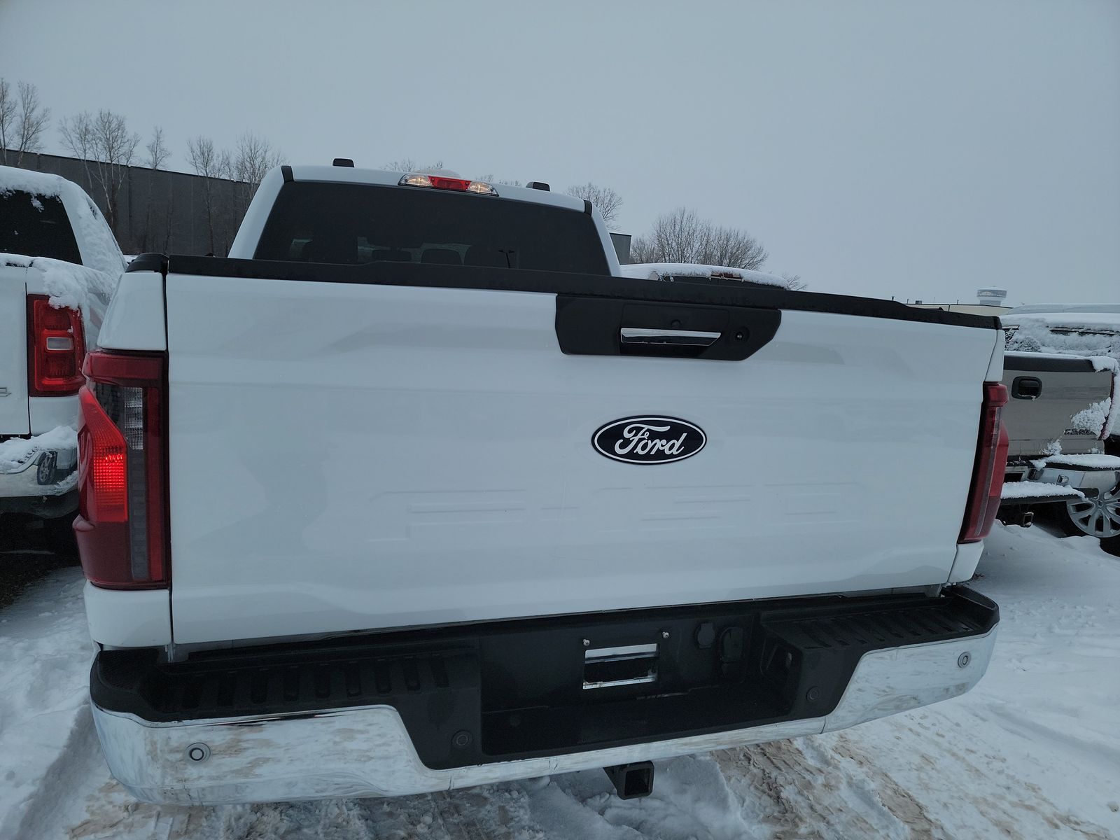 2024 Ford F-150 XLT AWD