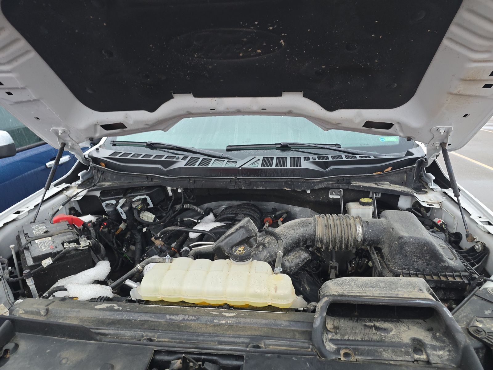 2024 Ford F-150 XLT AWD