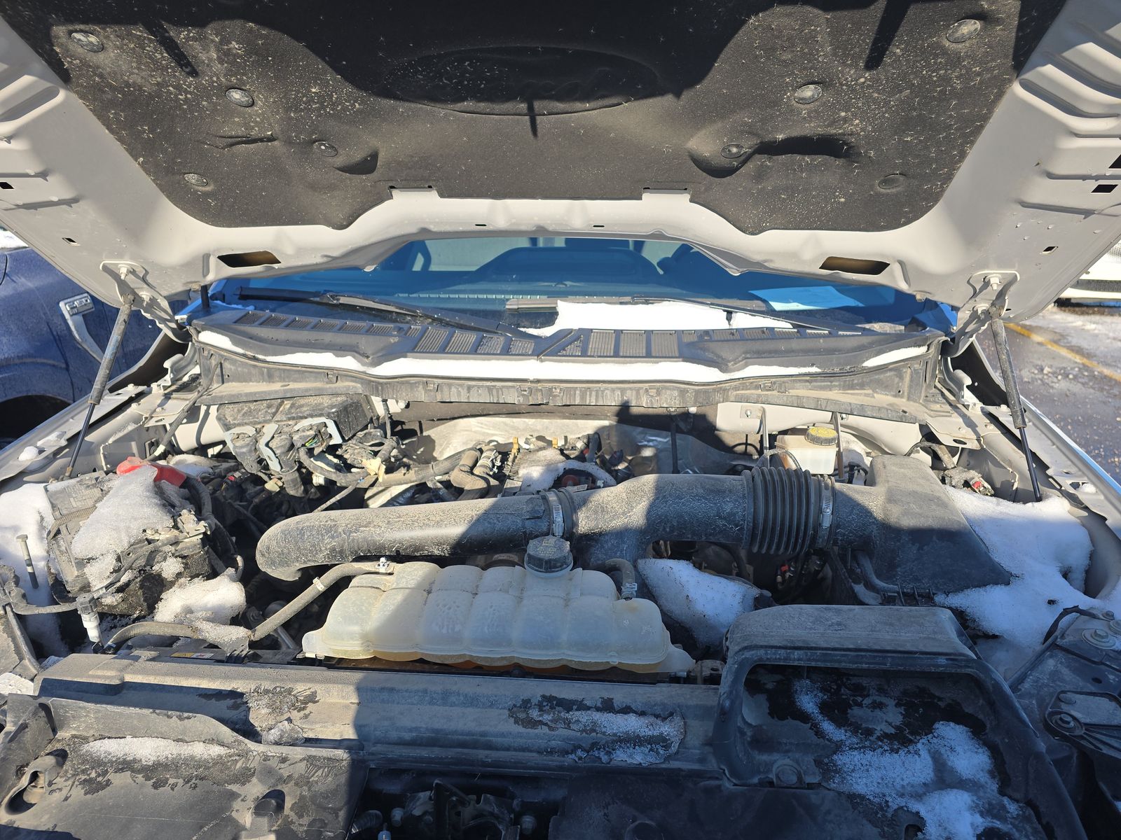 2024 Ford F-150 XLT AWD